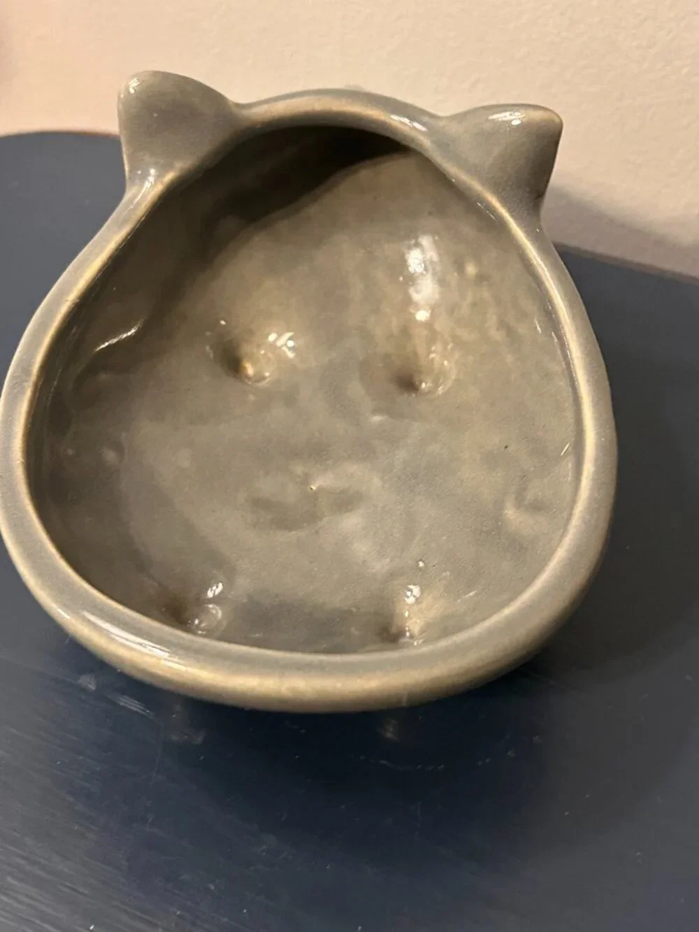 West Elm Ceramic Hedgehog Succulent Trinket Dish